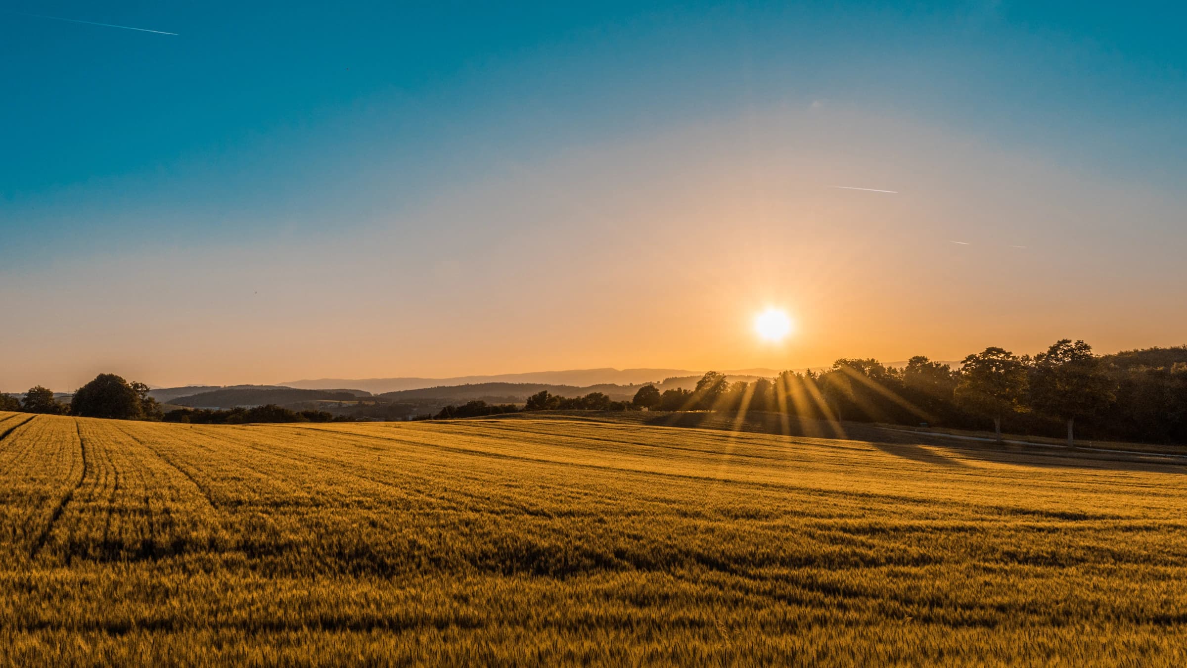 Green grass field under charged sky, with isolated trees in the horizon line