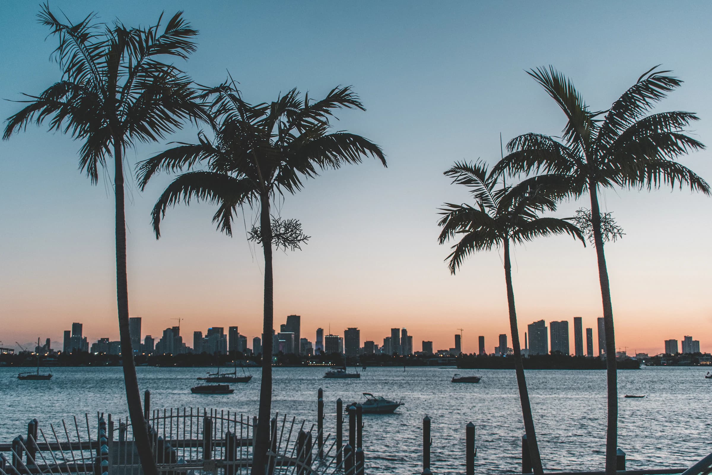 Miami Skyline at dusk, behind palm trees in silhouette and bay
