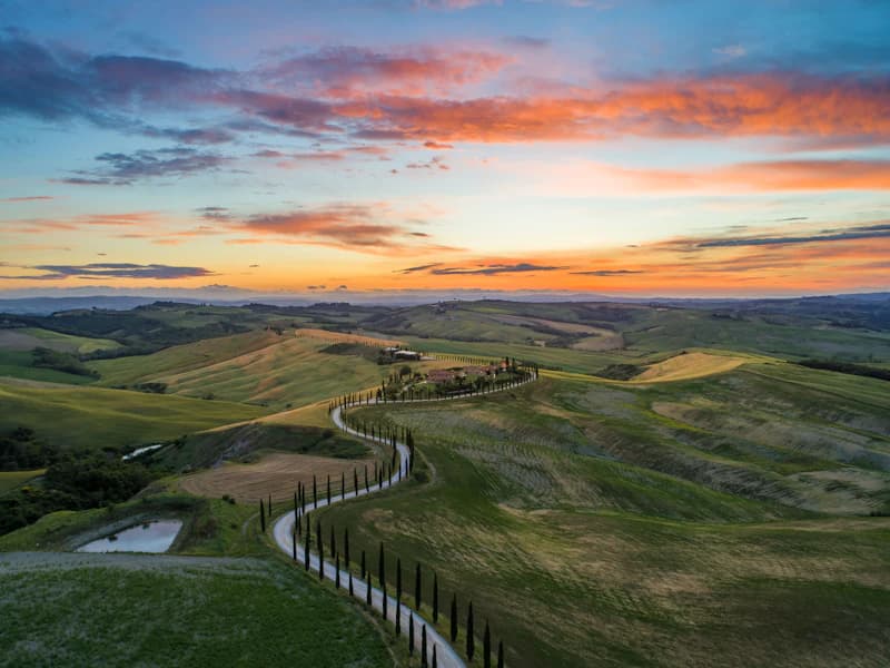 Tuscan Hills at sunset, with a cypress road